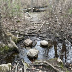 Black Farm Wildlife Management Area - Stepping stones across a brook