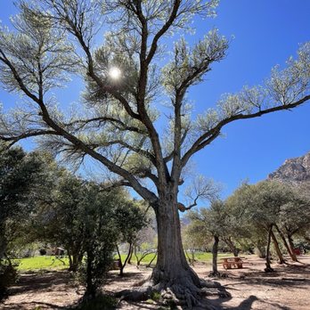 Spring Mountain Ranch State Park - Picnic area - Parks Near Me - Blue Diamond, Nevada