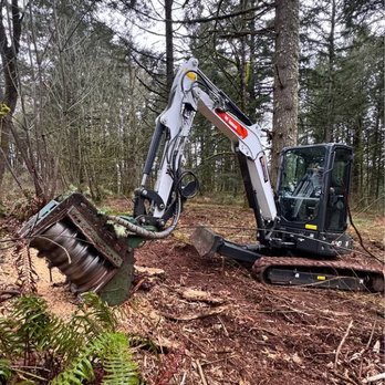 All Aspect Property Maintenance - Tree Services Near Me All Aspect Property Maintenance - Tree Services Near Me