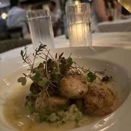 Scallops Scallops