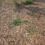 Great Lakes Pet Waste Solutions