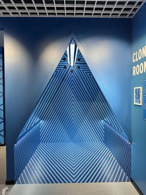 MUSEUM OF ILLUSIONS - Updated April 2025 - 26 Photos & 16 Reviews - 200