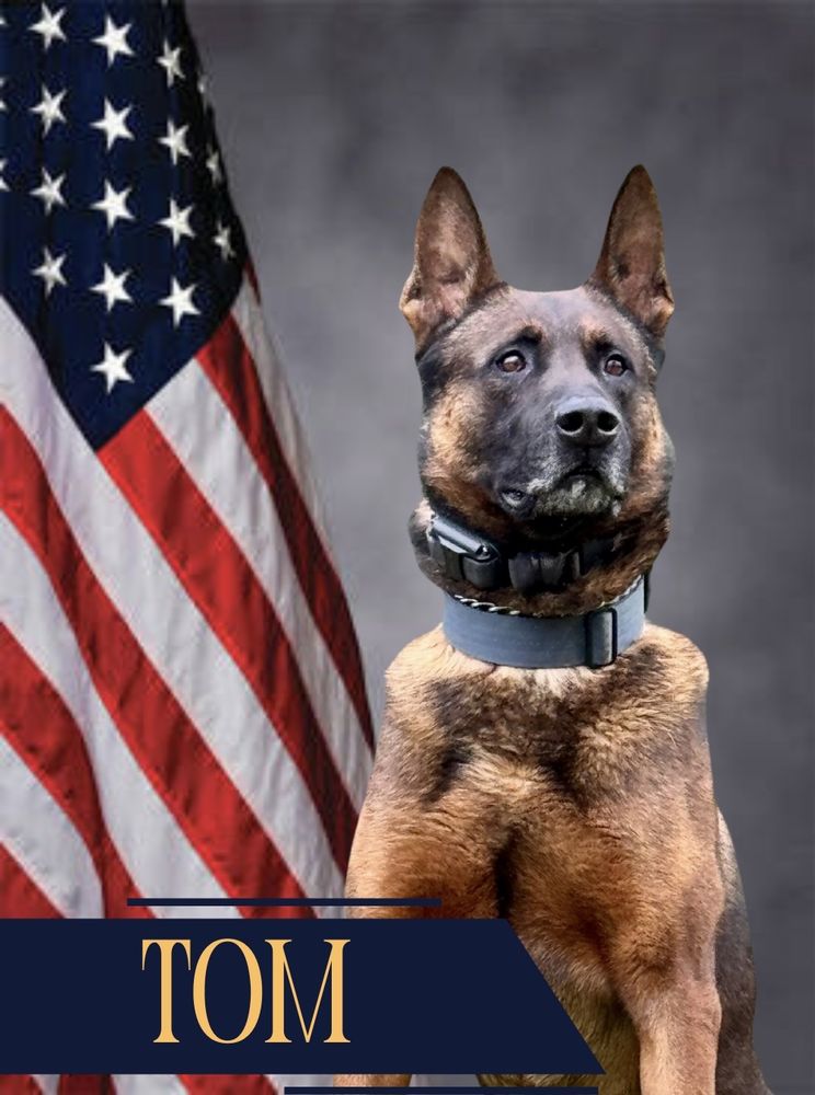 Acadiana K-9 - social services organization in Lafayette, LA