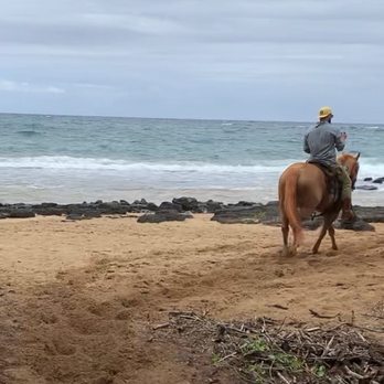 CJM Stables - Horseback Riding Near Me