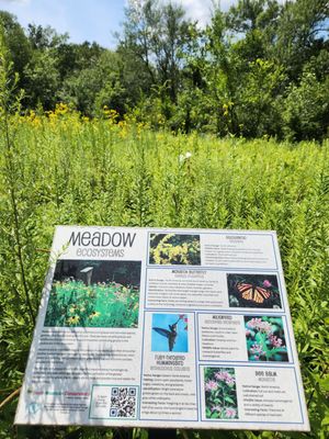 South Mountain Reservation by null