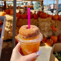 High Country Orchard