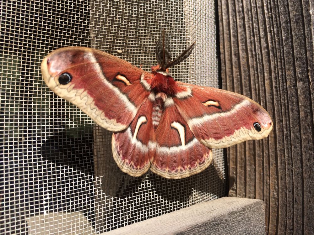 GROUNDSWELL COMMUNITY AND RETREAT CENTER Updated October 2024 18500