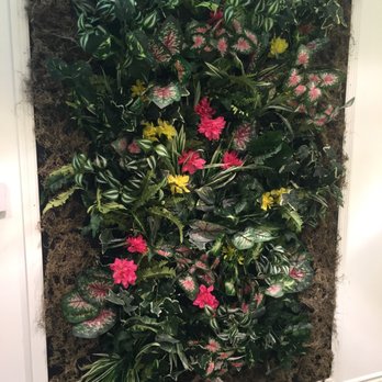Lash Envy by Viva - selfie wall - Eyelash Service Near Me - Arcadia, California Lash Envy by Viva - selfie wall - Eyelash Service Near Me - Arcadia, California