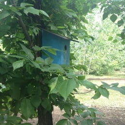 a blue birdhouse in a tree a blue birdhouse in a tree