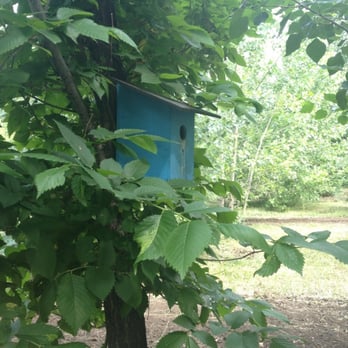 Aspen Crossing - a blue birdhouse in a tree - Bike Rentals Near Me Aspen Crossing - a blue birdhouse in a tree - Bike Rentals Near Me