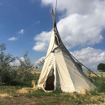 Sunflower Farm - Attraction Farms Near Me - Longmont, Colorado