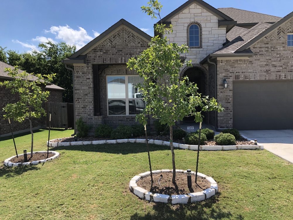 JOSE TREE SERVICE Updated August 2024 14 Photos & 11 Reviews