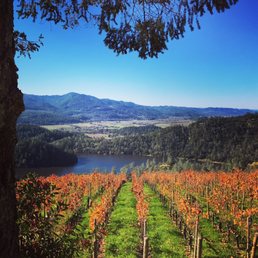 Breathtaking views, great wine and friendly service! Breathtaking views, great wine and friendly service!