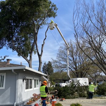 Franco Tree Service - crane - Tree Services Near Me - Gilroy, California Franco Tree Service - crane - Tree Services Near Me - Gilroy, California