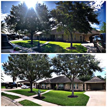 Emmanuel Tree - This was the tree pruning they did in my front yard - Tree Services Near Me - South Houston, Texas Emmanuel Tree - This was the tree pruning they did in my front yard - Tree Services Near Me - South Houston, Texas