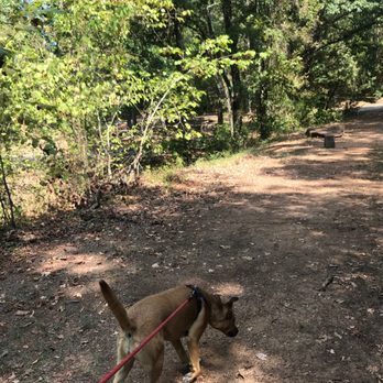 Tyler State Park - Parks Near Me - Tyler, Texas Tyler State Park - Parks Near Me - Tyler, Texas