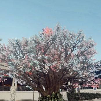 CityPlace - Shopping Centers Near Me - West Palm Beach, Florida