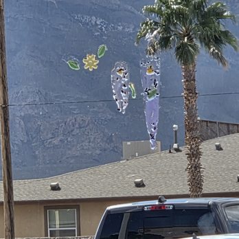 Tin Man - Stuck flys - Beer Bar Near Me - El Paso, Texas Tin Man - Stuck flys - Beer Bar Near Me - El Paso, Texas