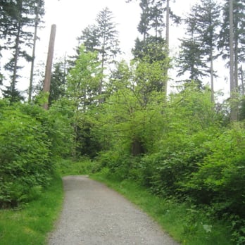 Stanley Park - Forest - Parks Near Me - Vancouver, British Columbia