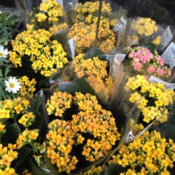 Blomsterboden