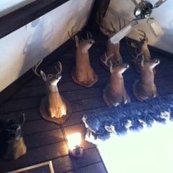 Spivey's Catfish House - On the wall by the window... 9 deer & a boar