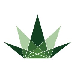 Cannabis Theory's