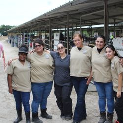 Volunteer with friends or coworkers.
