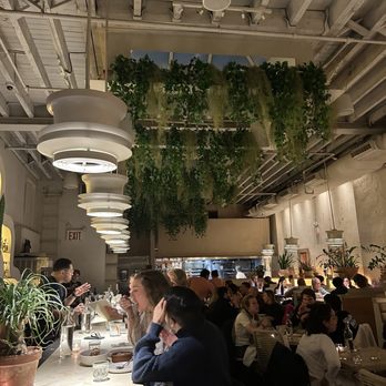 Oxomoco - Mexican Near Me - Brooklyn, New York Oxomoco - Mexican Near Me - Brooklyn, New York