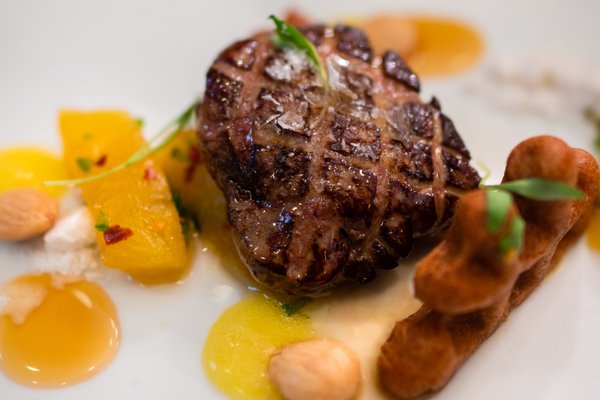 Ponte Modern American by null