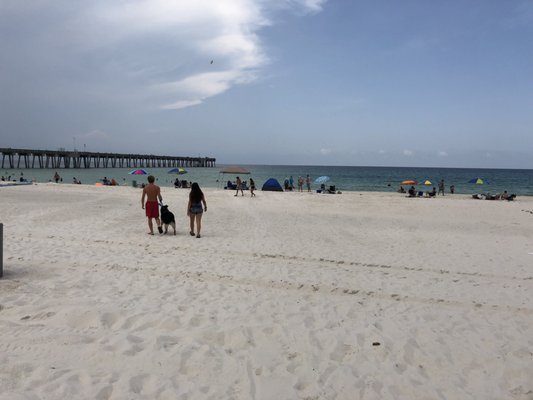 Dog Beach at Pier Park Panama City Beach