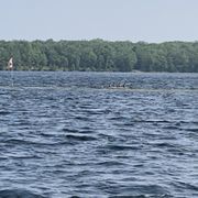 82658834007-e-73-ca-2-ea-1-ef-