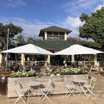 Barefoot Beach Cafe - Outdoor seating - Breakfast & Brunch Near Me - Honolulu, Hawaii