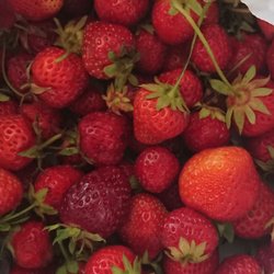 Herrle's Country Farm Market
