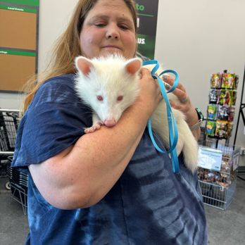 Pet Supplies Plus Milford - Pet Groomers Near Me - Milford, Ohio