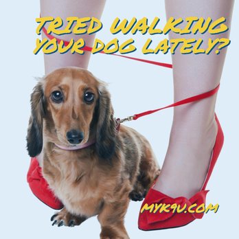 K9 University - Walking your dog should not be this tough ! - Pet Training Near Me - Yukon, Oklahoma K9 University - Walking your dog should not be this tough ! - Pet Training Near Me - Yukon, Oklahoma