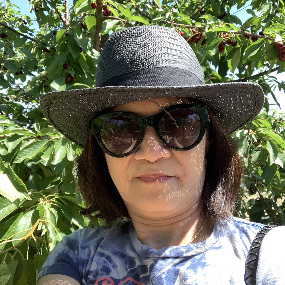 Cherry Time - Mama Zeny - Pick Your Own Farms Near Me - Brentwood, California Cherry Time - Mama Zeny - Pick Your Own Farms Near Me - Brentwood, California