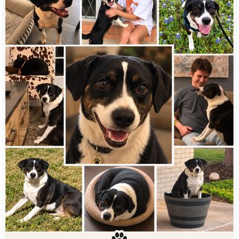 Tomlinson's Feed - Murphy - Pet Stores Near Me - Austin, Texas Tomlinson's Feed - Murphy - Pet Stores Near Me - Austin, Texas