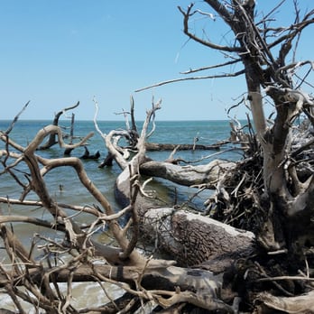 Big Talbot Island State Park - Parks Near Me - Jacksonville, Florida Big Talbot Island State Park - Parks Near Me - Jacksonville, Florida