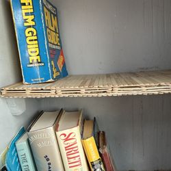 Little Free Library - a shelf made out of ice cream sticks!