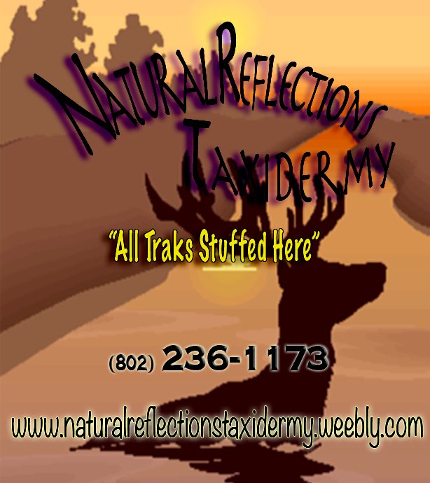 Natural Reflections Taxidermy - taxidermy in Rutland, VT