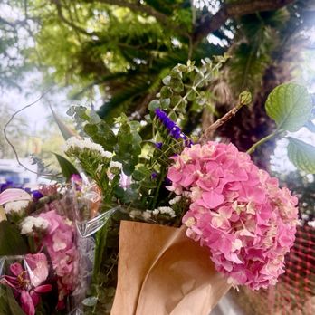 Venice Farmers Market - May 22, 2026 | Friday Morning | Scenery!! | - Farmers Market Near Me - Venice, California Venice Farmers Market - May 22, 2026 | Friday Morning | Scenery!! | - Farmers Market Near Me - Venice, California
