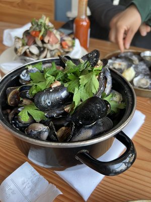 Saltwater Fish House & Oyster Bar by null