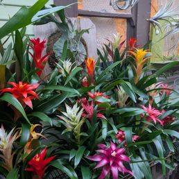 Plenty of plants with color. Plenty of plants with color.