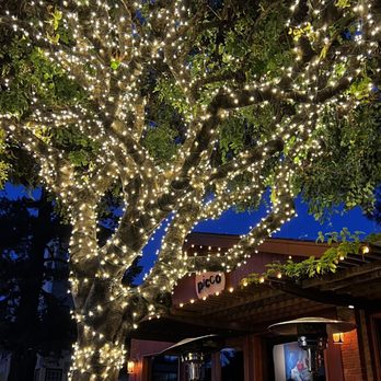 Pizzeria Picco - Love this lit tree - Pizza Near Me - Larkspur, California Pizzeria Picco - Love this lit tree - Pizza Near Me - Larkspur, California