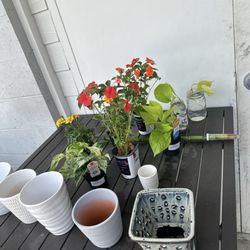 Habitat For Humanity Thrift Store - Plant holders