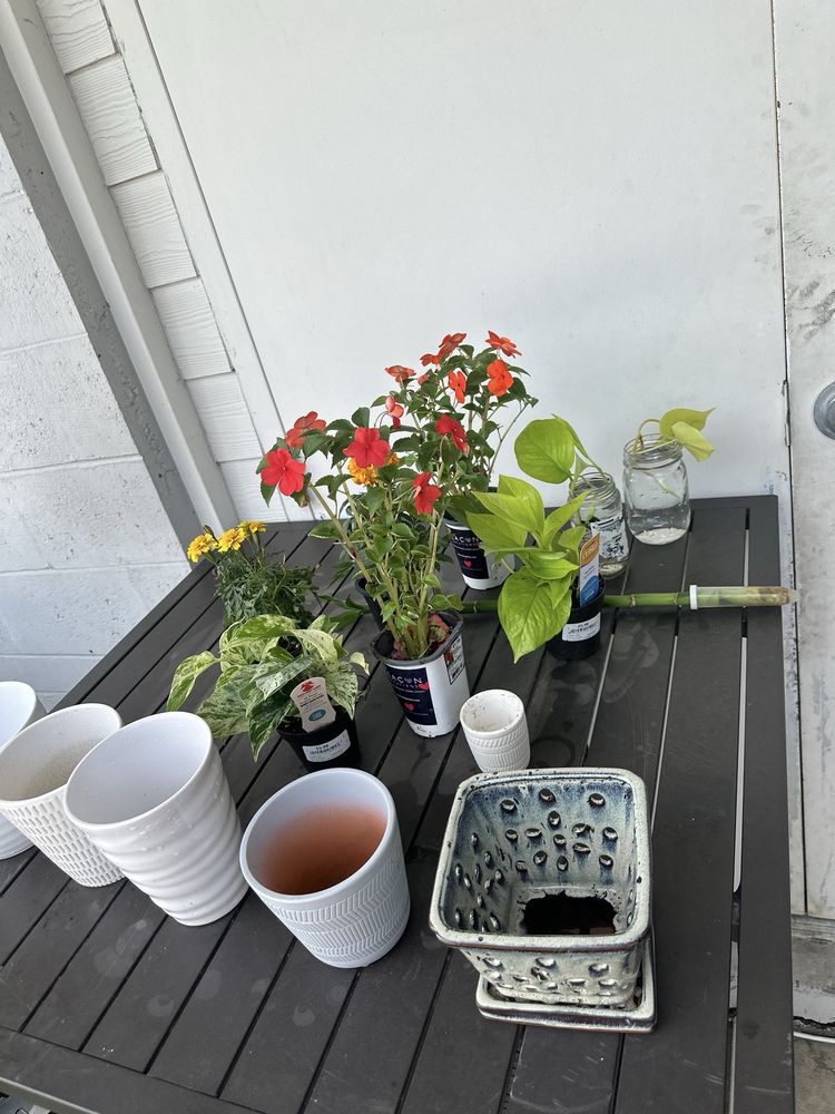 HABITAT FOR HUMANITY THRIFT STORE Updated September 2024 42 Photos