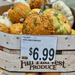 BJ's Wholesale Club