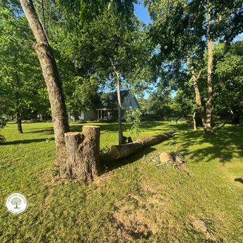 A&B Tree Service - Tree Services Near Me