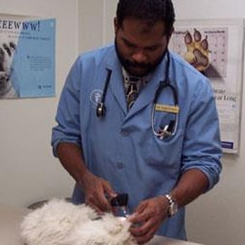 Total Pet Care - Veterinarians Near Me - Maumee, Ohio