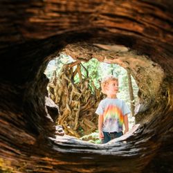Melissa van Ruiten Photography - Big Trees, Arnold, CA